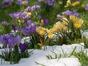 Akce na měsíc březen