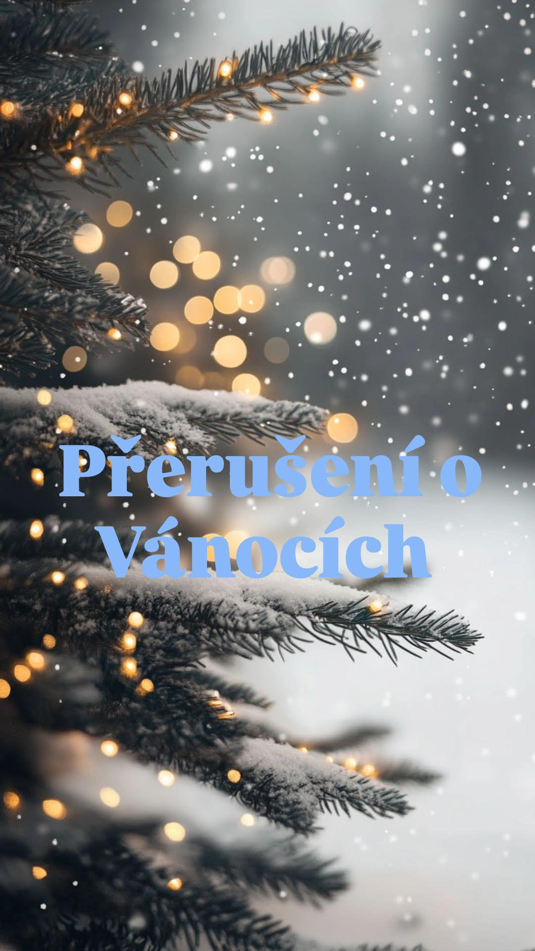 PŘERUŠENÍ PROVOZU V DOBĚ VÁNOČNÍCH PRÁZDNIN